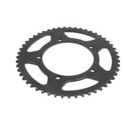 Pignone posteriore JTR 24,51