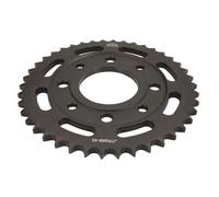 Pignone posteriore JTR 269,42