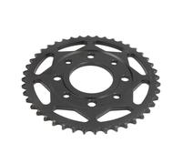 Pignone posteriore JTR 269,44