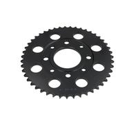 Pignone posteriore JTR 269,47