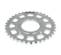 Pignone posteriore JTR 278,36