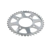 Pignone posteriore JTR 284,40