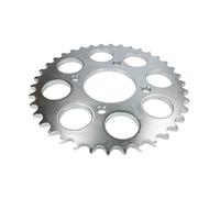 Pignone posteriore JTR 333,38