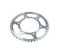 Pignone posteriore JTR 479,43
