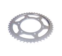 Pignone posteriore JTR 479,45