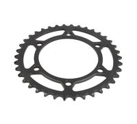 Pignone posteriore JTR 486,38