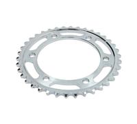Pignone posteriore JTR 499,38