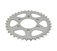 Pignone posteriore JTR 501,35