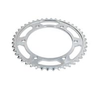 Pignone posteriore JTR 502,44