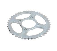 Pignone posteriore JTR 810,42