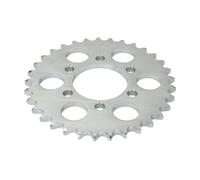 Pignone posteriore JTR 814,33