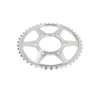 Pignone posteriore JTR 816,42