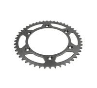 Pignone posteriore JTR 828,48
