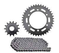 Pignone posteriore per catena moto 520 14T 39T 43T compatibile con parti automobilistiche del motociclo 400 300 250 R Z250 SL Z400 Z300 Z250 EX250 300 400 Gear(14T 39T 520-120L)