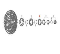Pignone Shimano per CS-M8100 14T.