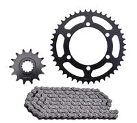 Pignone universale per catena moto 520 14T 39T 43T compatibile con 400 300 250 R Z250 SL Z400 Z300 Z250 EX250 300 400 Gear sostituzione aftermarket(14T 43T 520-120L)