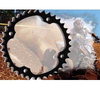 Pignone Z36 per Smc Barossa Captain 300 per Triton 250