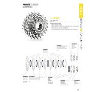 PIGNONI CAMPAGNOLO 10 VELOCITA PER BICI DA CORSA SERIE PRIMATO by MICHE