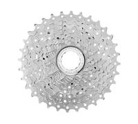 PIGNONI CAMPAGNOLO CENTAUR 11 V. 11-32