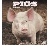 Pigs 2025 Square Wall Calendar | Animal, Wildlife, Farm Calendar ENGLISH EDITION