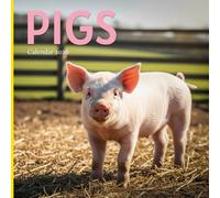 Pigs 2026 Calendar