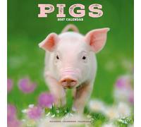 Pigs 2027 Calendar | Square Wall Calendar | Farm Animal Gift | Plastic Free Packaging | by Avonside Publishing