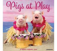 Pigs at Play 2026 Wall Calendar