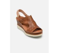 Pikolinos - AGUADULCE W3Z-1623C1 Marrone - Sandali e scarpe aperte 37 Marrone