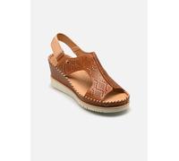Pikolinos - AGUADULCE W3Z-1775C1 Marrone - Sandali e scarpe aperte 41 Marrone