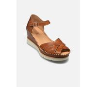 Pikolinos - AGUADULCE W3Z-1840 Marrone - Sandali e scarpe aperte 41 Marrone