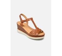 Pikolinos - AGUADULCE W3Z Marrone - Sandali e scarpe aperte 40 Marrone