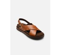 Pikolinos - AITANA W7Z-0995 Marrone - Sandali e scarpe aperte 37 Marrone