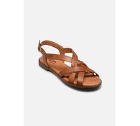 Pikolinos - Algar W0X-0556St Marrone - Sandali e scarpe aperte 38 Marrone