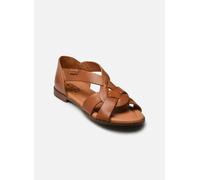 Pikolinos - ALGAR W0X-0812 Marrone - Sandali e scarpe aperte 38 Marrone