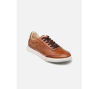 Pikolinos - ALICANTE M2U-6273C1 Marrone - Sneakers 42 Marrone
