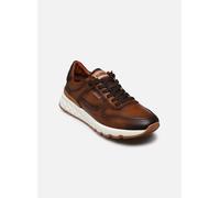 Pikolinos - Aranda M8R-6239C1 Marrone - Sneakers 42 Marrone