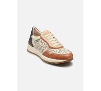 Pikolinos - ARRECIFE W1M-6629 Marrone - Sneakers 39 Marrone