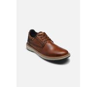 Pikolinos - BILBAO M8D-4292C1 Marrone - Scarpe con lacci 40 Marrone