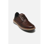 Pikolinos - BILBAO M8D-4292C1 Marrone - Scarpe con lacci 46 Marrone