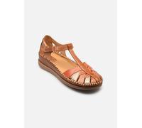 Pikolinos - CADAQUES W8K-0705C1 Marrone - Sandali e scarpe aperte 37 Marrone