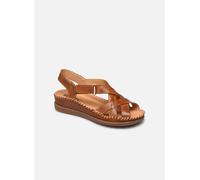 Pikolinos - Cadaques W8K-0741 Marrone - Sandali e scarpe aperte 41 Marrone