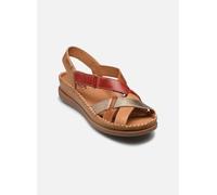 Pikolinos - Cadaques W8K-0741 Multicolore - Sandali e scarpe aperte 41 Multicolore