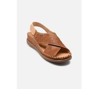 Pikolinos - CADAQUES W8K-0848 Marrone - Sandali e scarpe aperte 36 Marrone