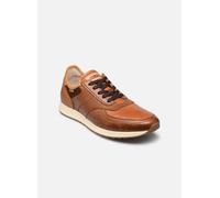 Pikolinos - CAMBIL M5N-6201C1 Marrone - Sneakers 41 Marrone