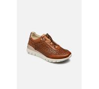 Pikolinos - Cantabria W4R-6584 Marrone - Sneakers 35 Marrone