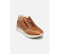 Pikolinos - CANTABRIA W4R-6622C1 Marrone - Sneakers 41 Marrone