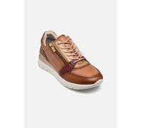 Pikolinos - CANTABRIA W4R-6718 Marrone - Sneakers 36 Marrone