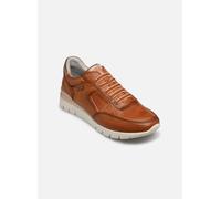 Pikolinos - Cantabria W4R-6731 Marrone - Sneakers 41 Marrone