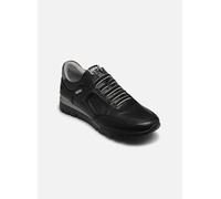 Pikolinos - Cantabria W4R-6731 Nero - Sneakers 42 Nero