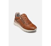 Pikolinos - CANTABRIA W4R Marrone - Sneakers 36 Marrone
